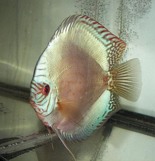 301 Moved Permanently