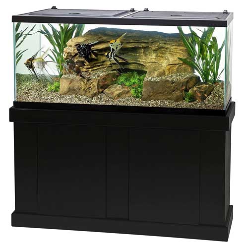 55Gallon Starter Aquarium with Net, Food, Filter, Heater/Conditioner Discus Rescue