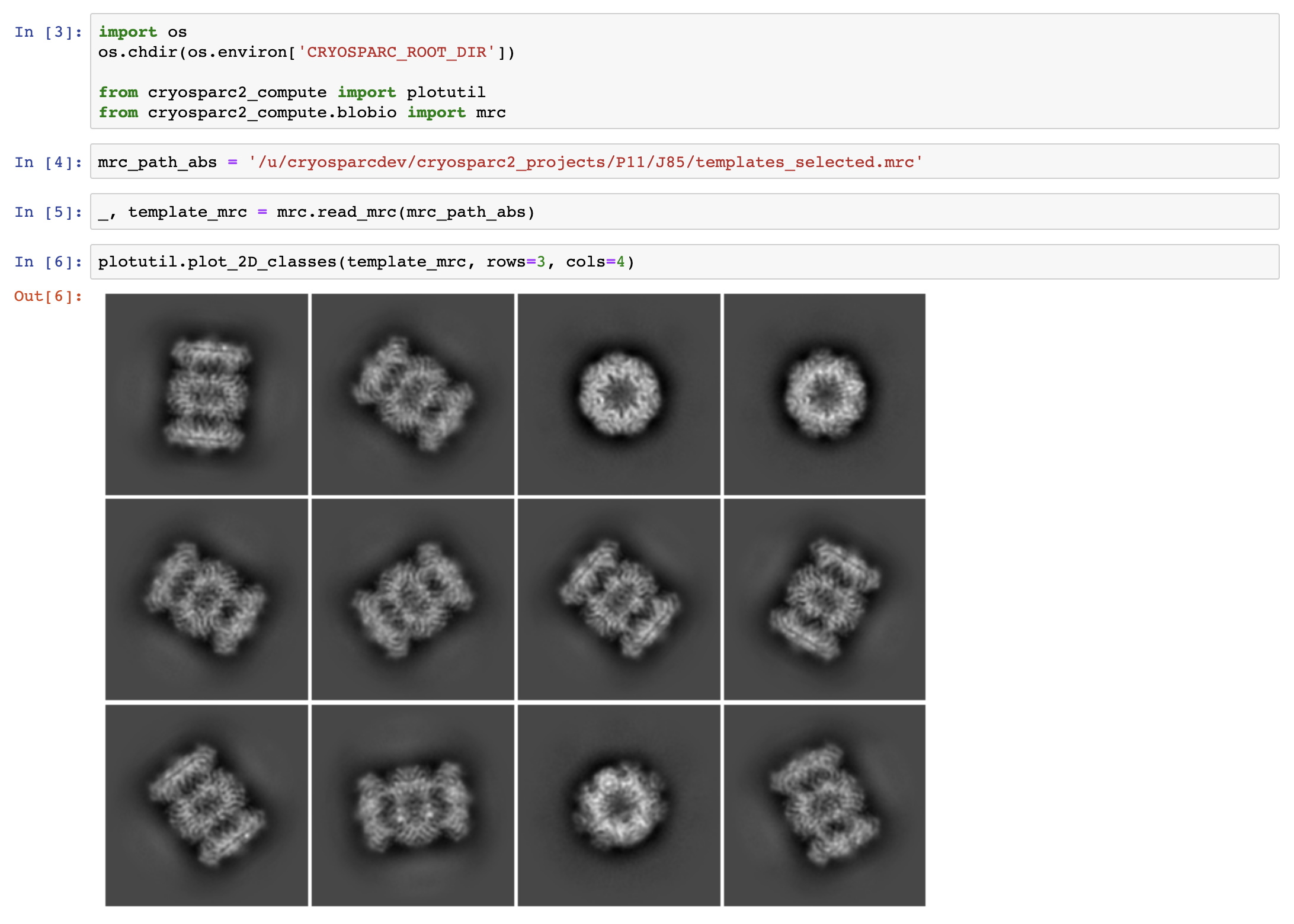 High Resolution Image Of 2d Classification 2d Classification Cryosparc Discuss