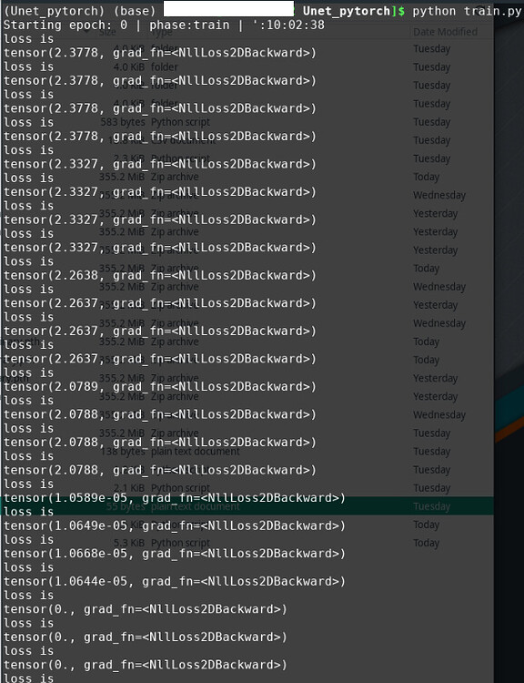 Element 0 of tensors does not require grad and does not have a grad_fn