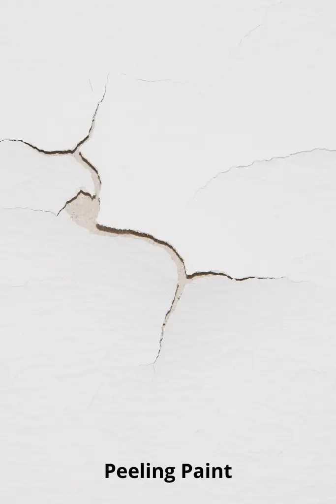 Can You Wait Too Long Between Coats Of Paint? (Find Out!) DiscussDiy