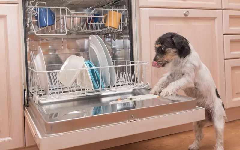 Can You Run Dishwasher Without Hot Water? (Yes!) DiscussDiy