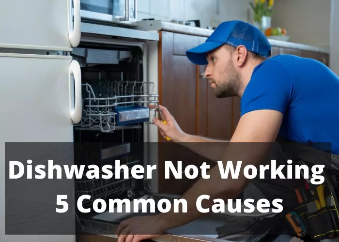 Dishwasher Not Working (Causes & Fixes) DiscussDiy