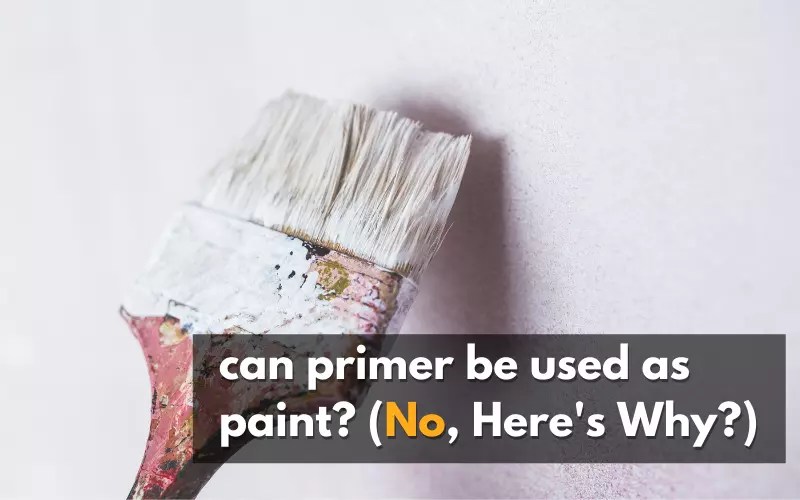 Can Primer Be Used as Paint? (No, Here's Why...) DiscussDiy