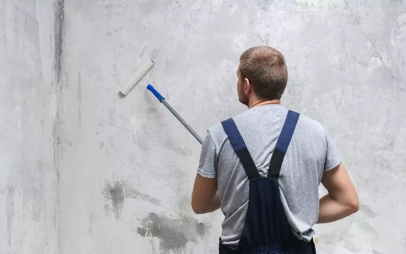 Is Primer Paint Necessary? (Answered) DiscussDiy