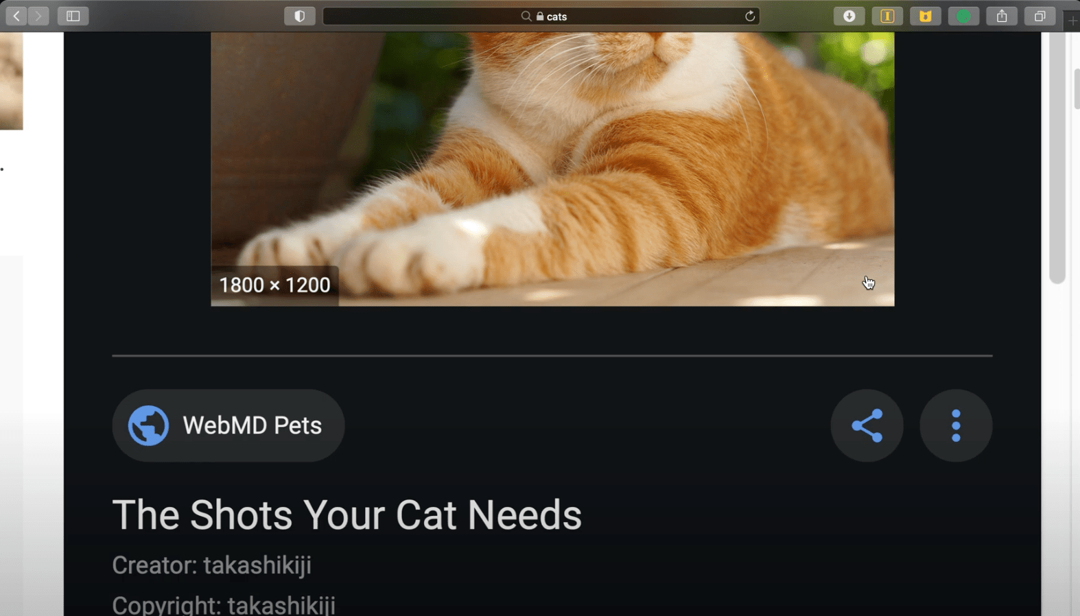 Safari zooms out or hides an image when I… Apple Community