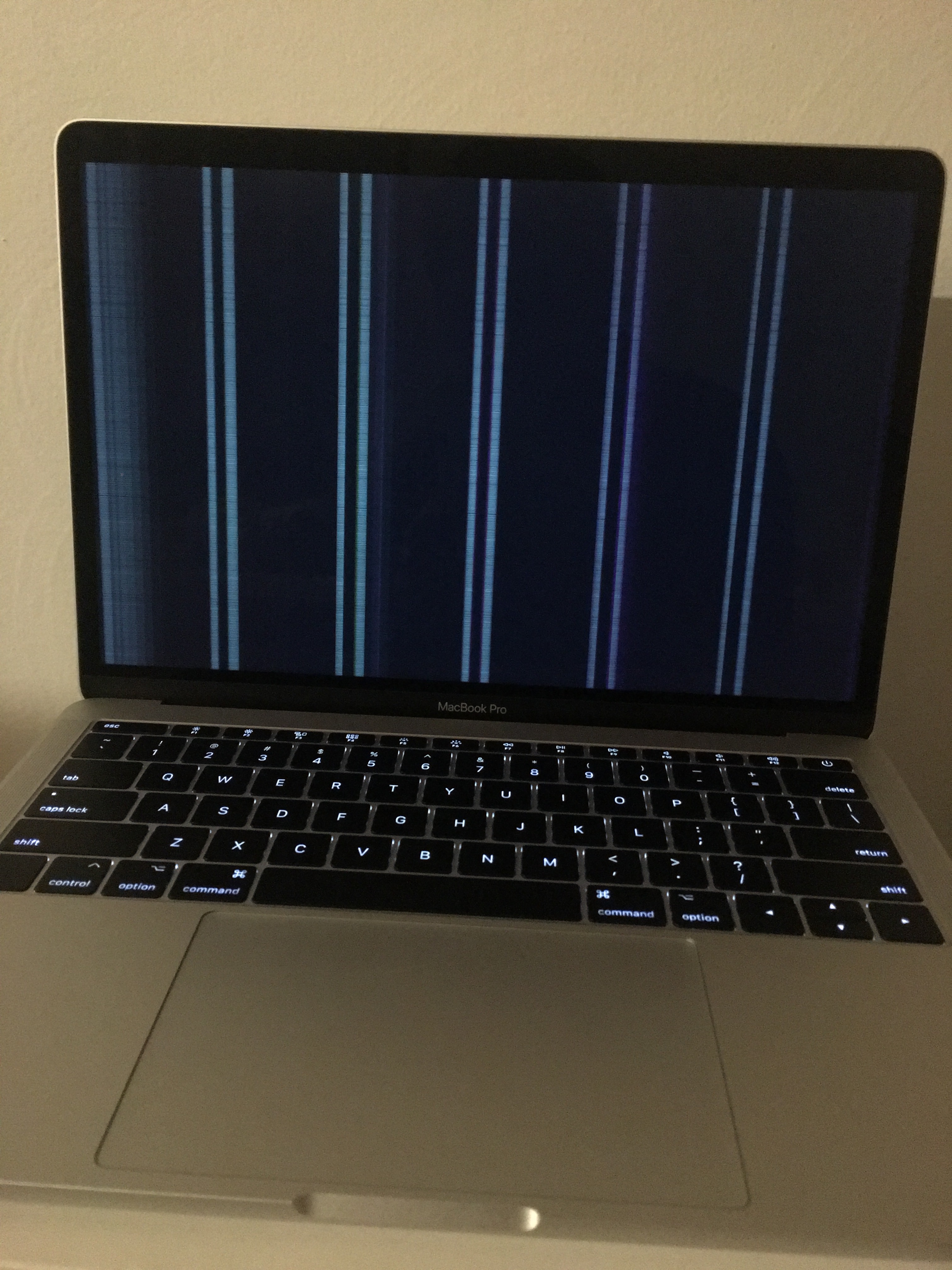 sort skærm macbook Molly Peake