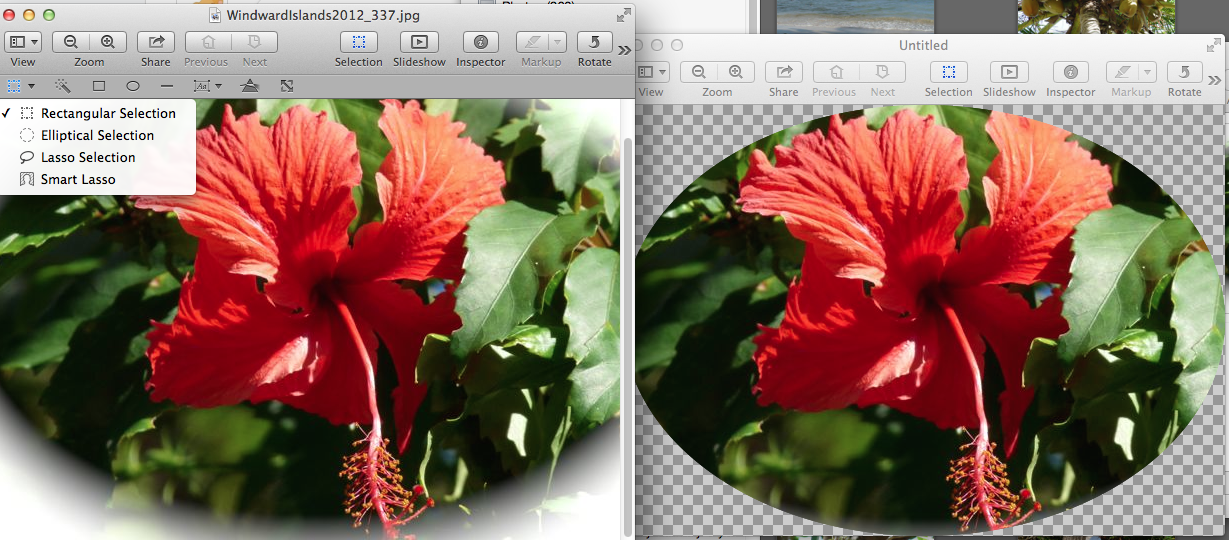 How do I achieve an OVAL crop in iPhoto? Apple Community