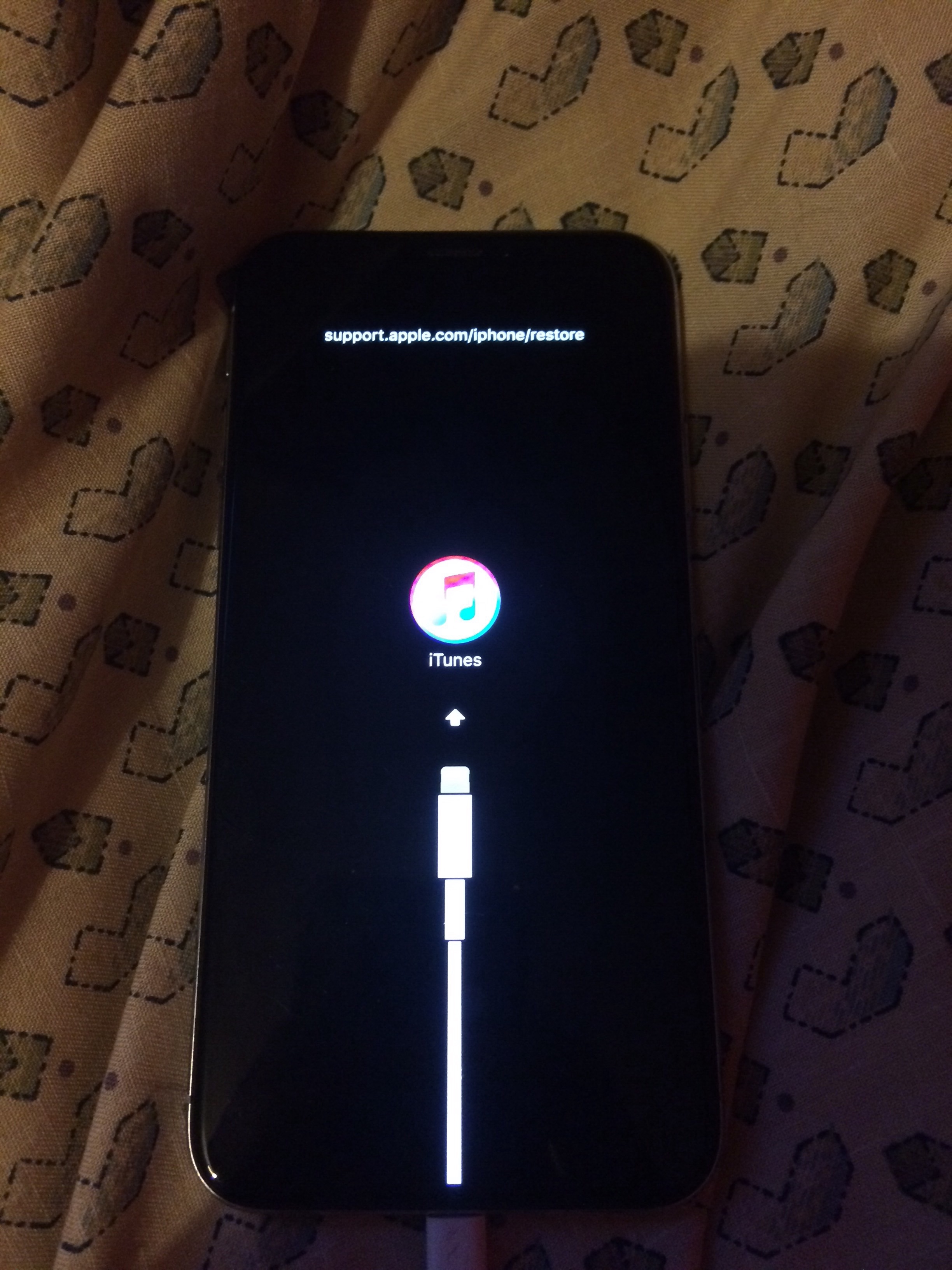 iPhone X boot loop Apple Community