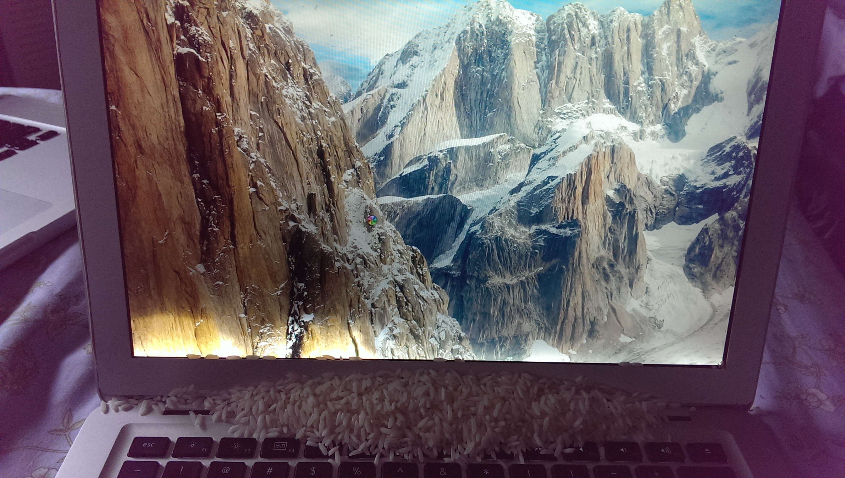 Spilled rubbing alcohol on screen, LCD lo… Apple Community