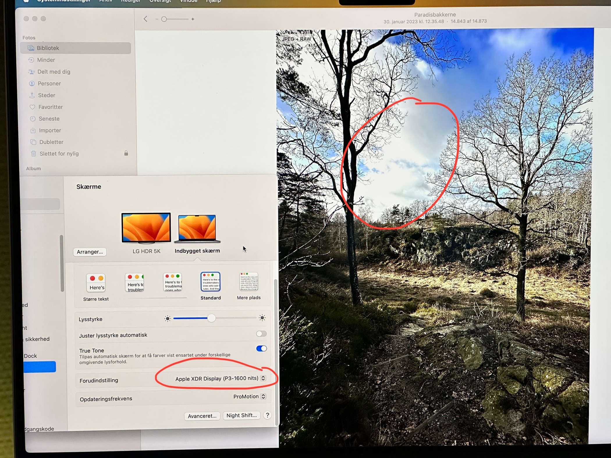 iPhone 14 Pro HDR/dynamic range blown hig… Apple Community