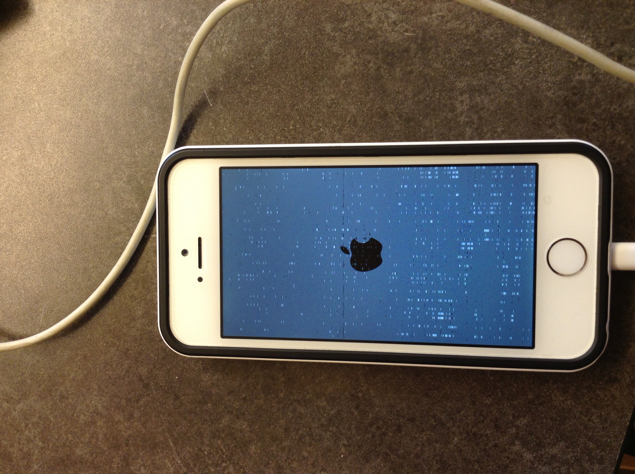 Apple Iphone 5 Blue Screen