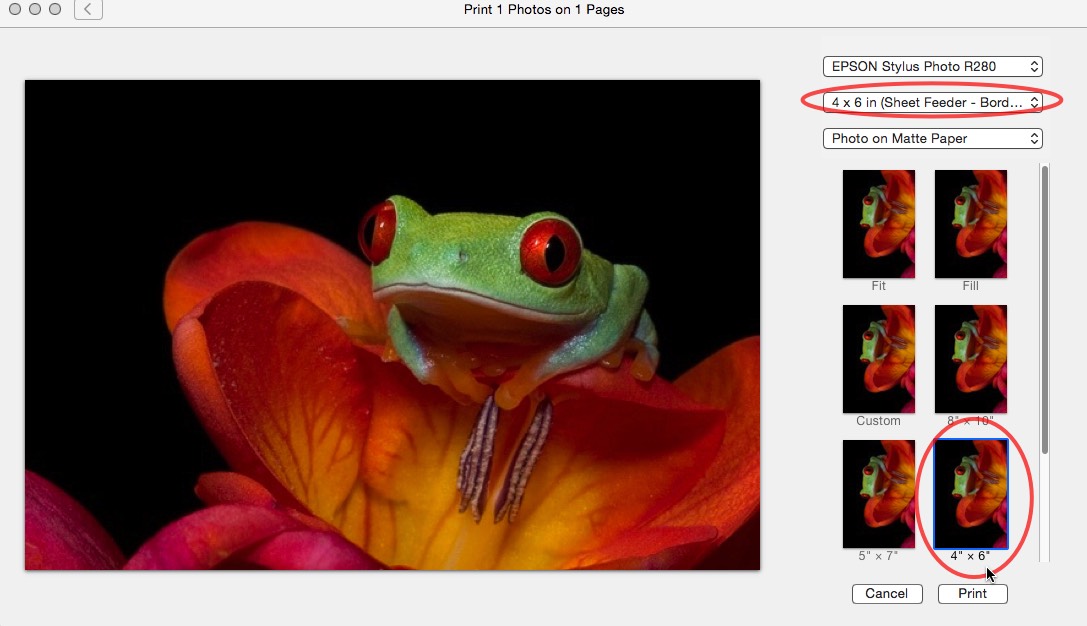 How do I print 4x6 photos from photos on … Apple Community