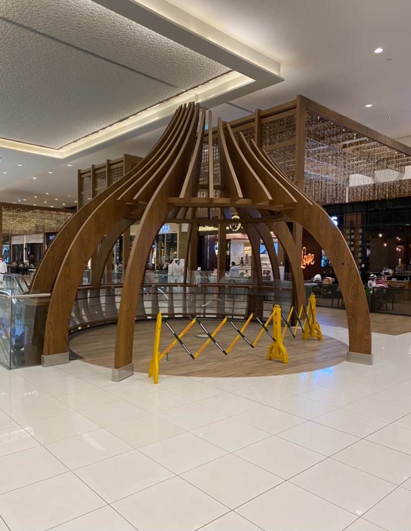 iPhone 11 Blurry Photos In Camera Roll Un… Apple Community