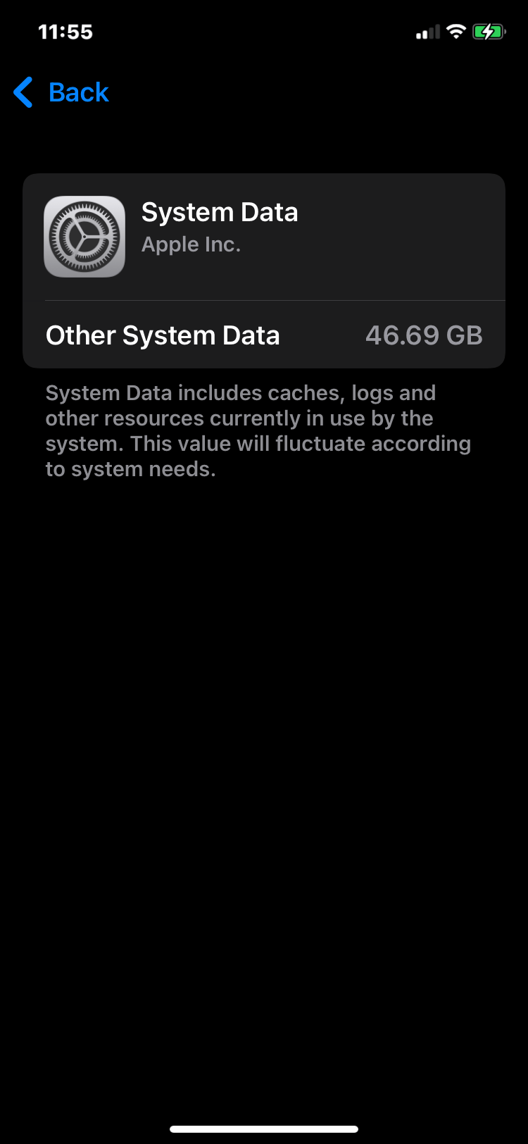 How to decrease the System Data storage a… Apple Community