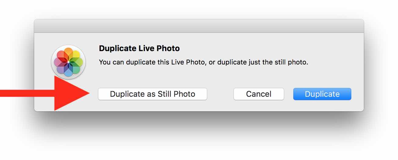 How to Extract Still Frames from a Live P… Apple Community