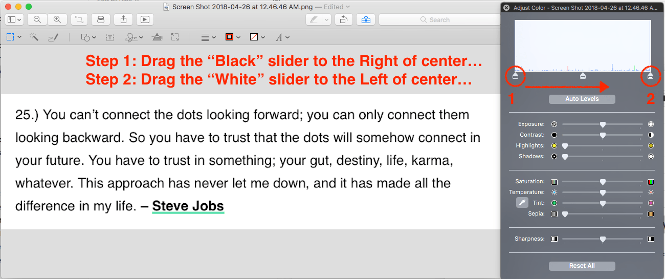 serrare zanzara est invert black png to white Evoluzione pasticceria