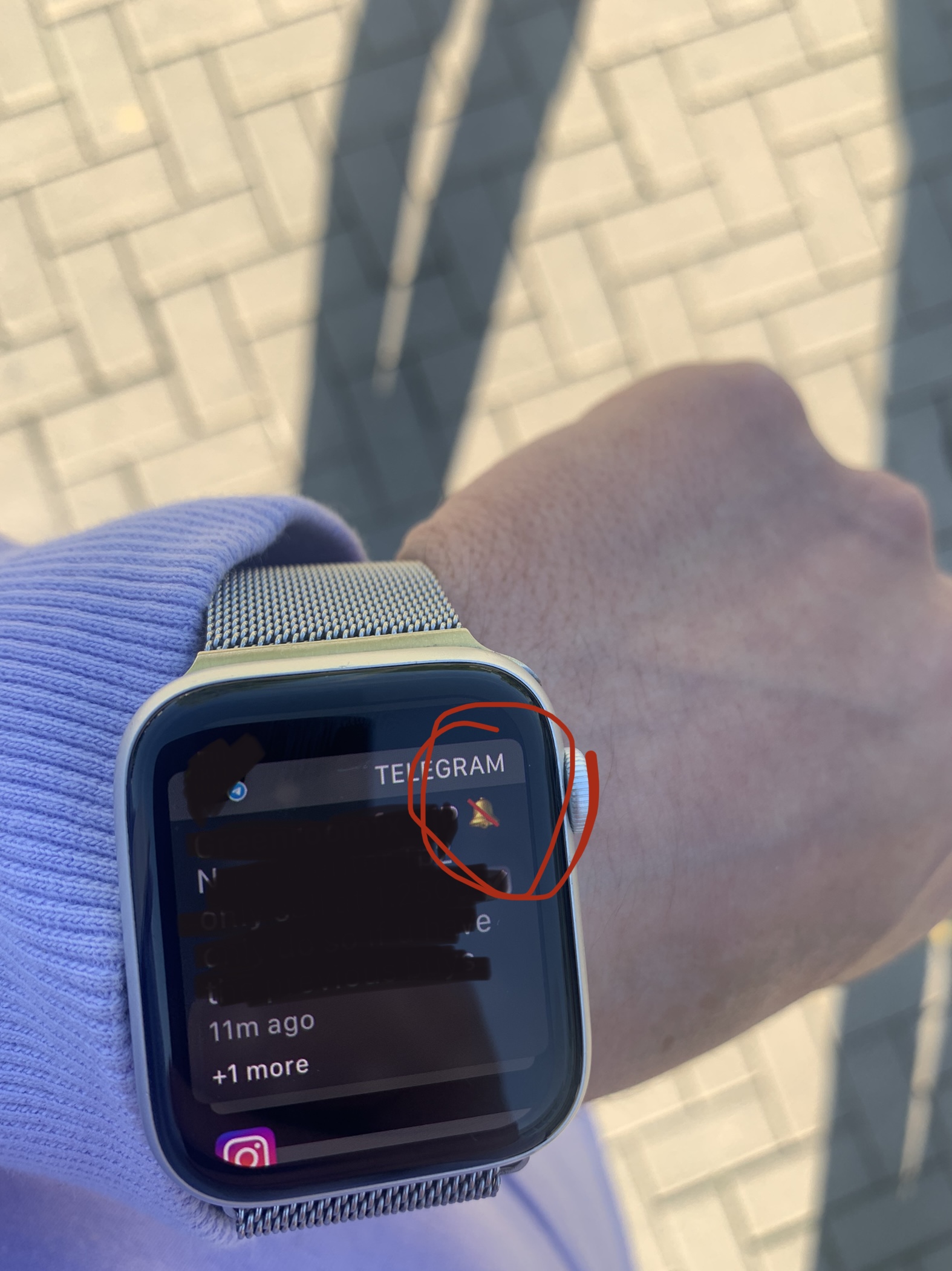 Telegram App on my Apple Watch shows a mu… Apple Community