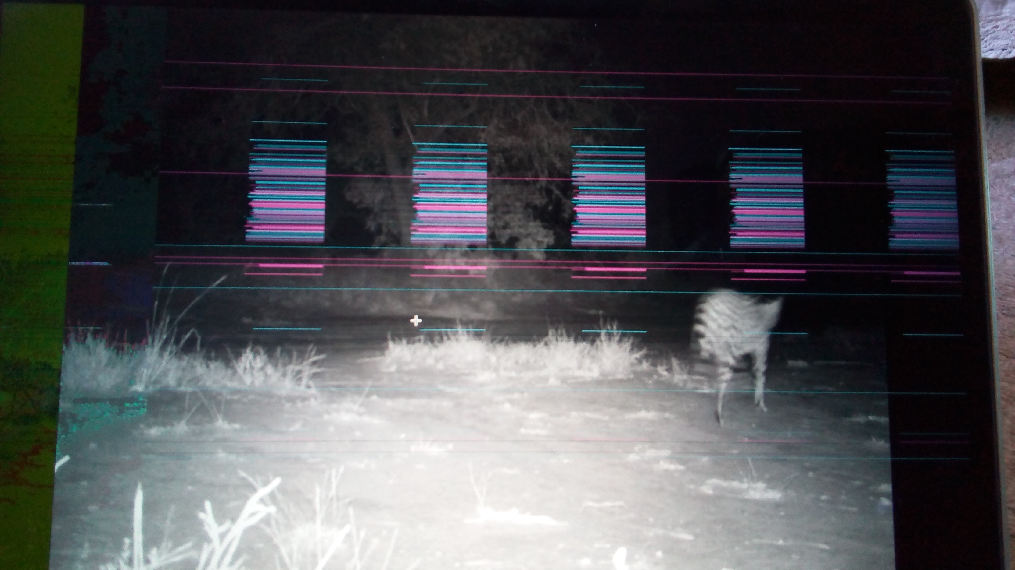 Thin, colored, flickering horizontal line… Apple Community