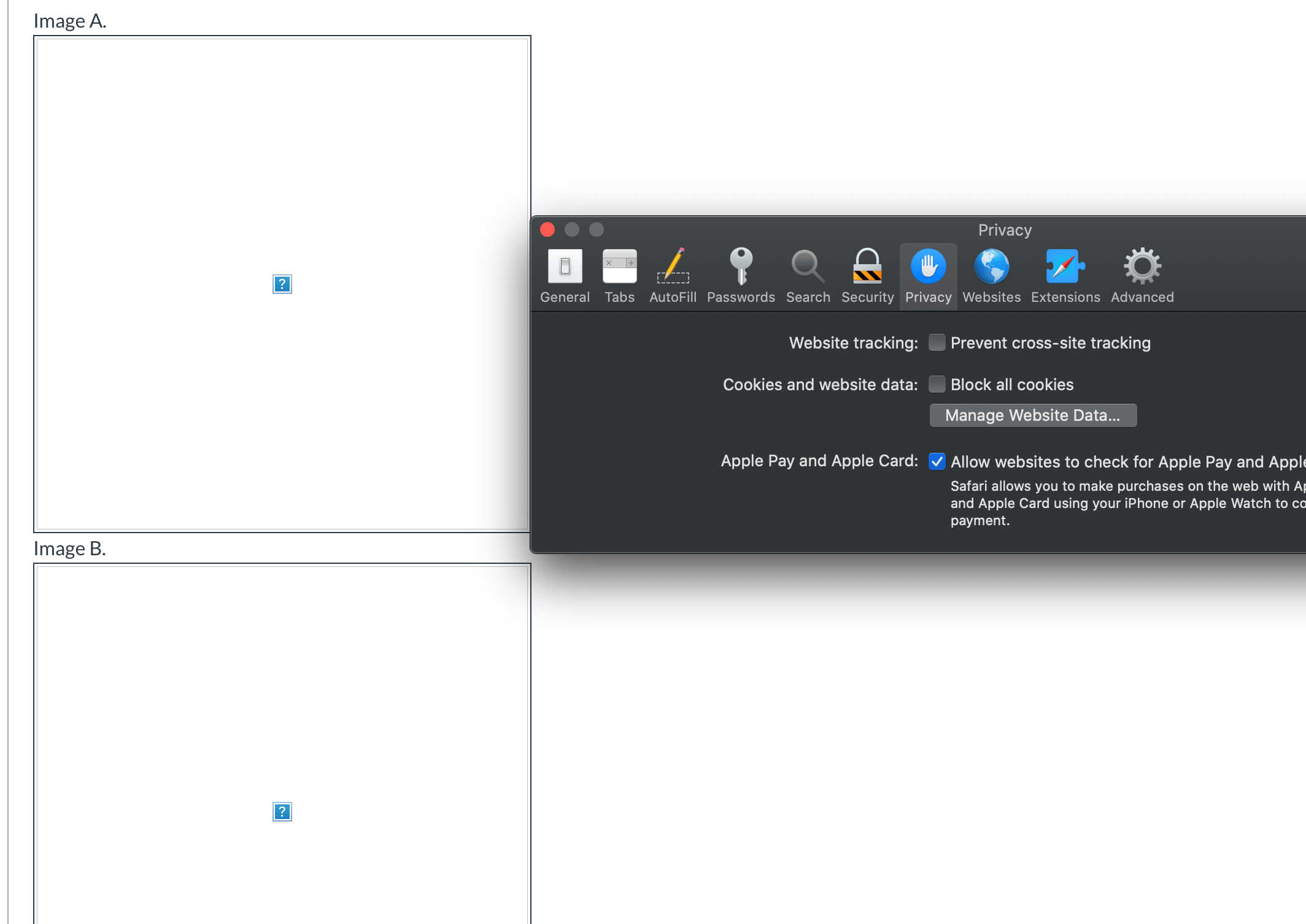 Safari not displaying images in Canvas … Apple Community
