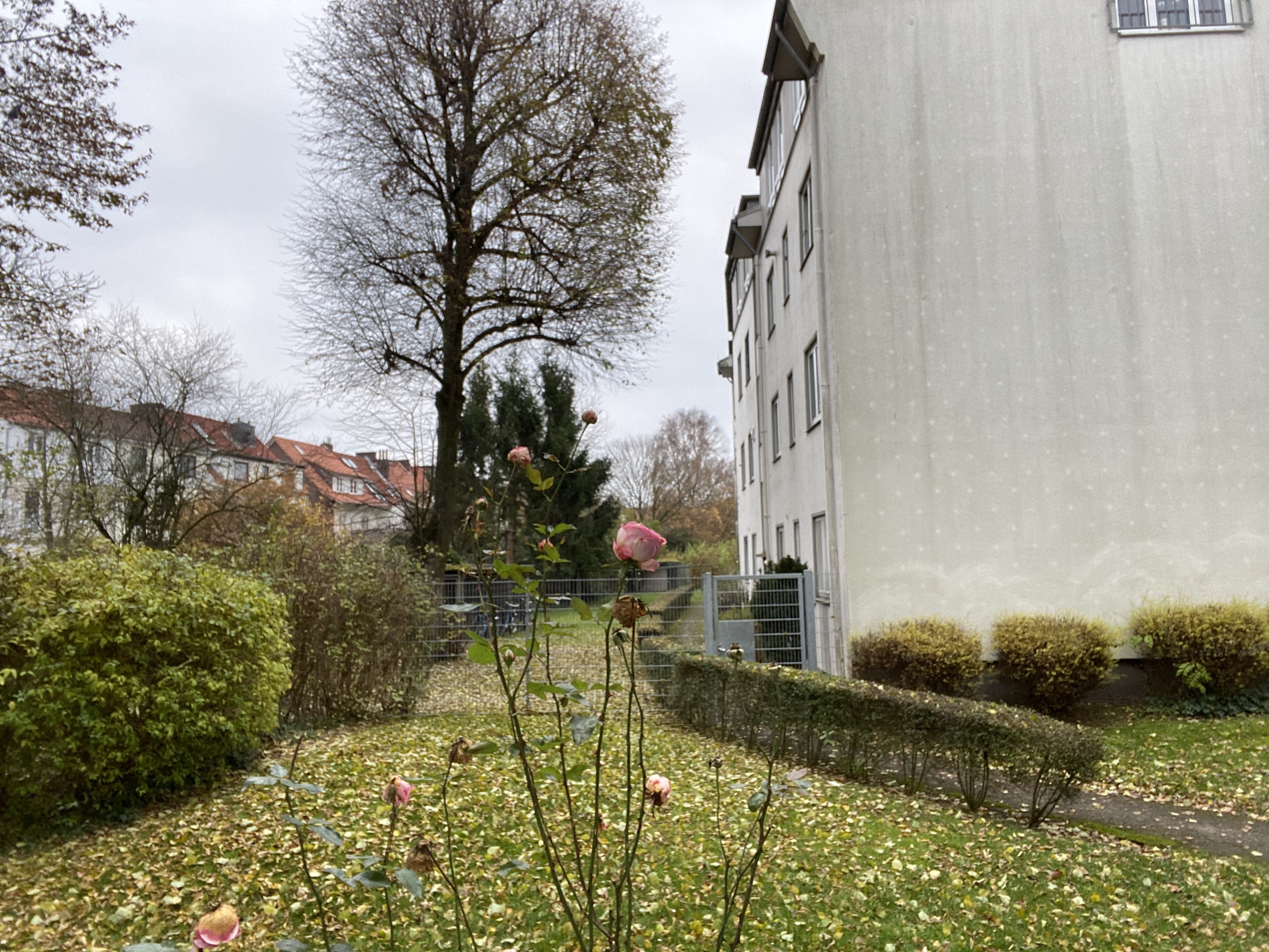 iPhone 11 front camera kinda blurry Apple Community