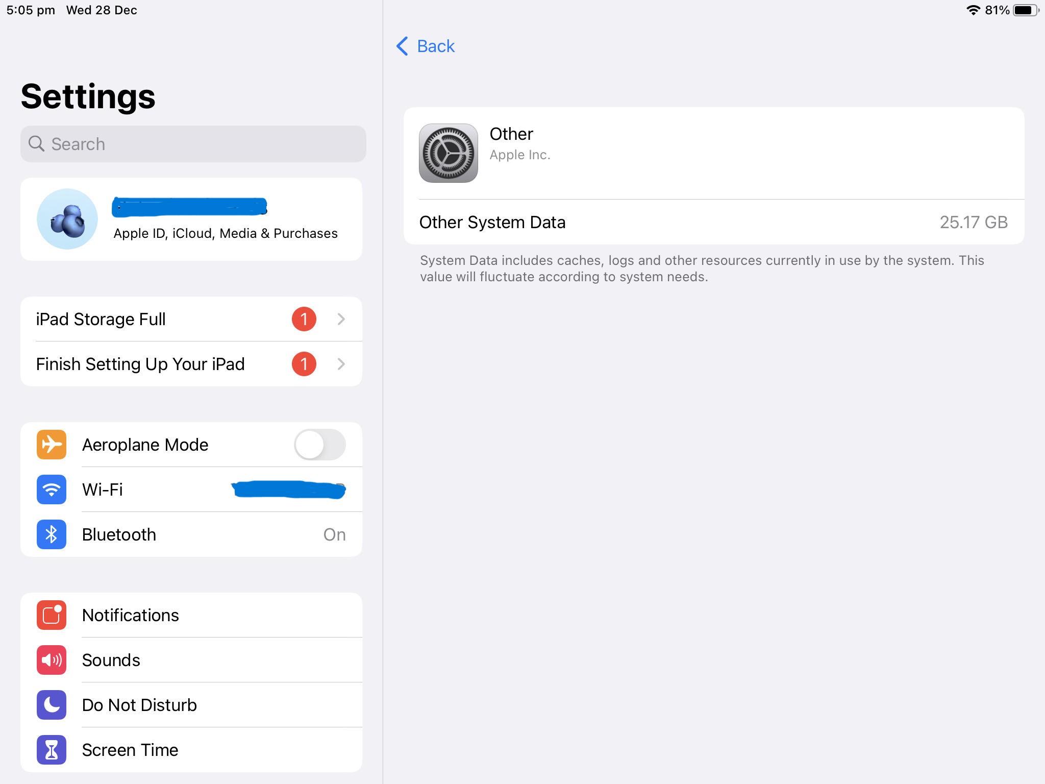 IPAD Storage full with large other system… Apple Community