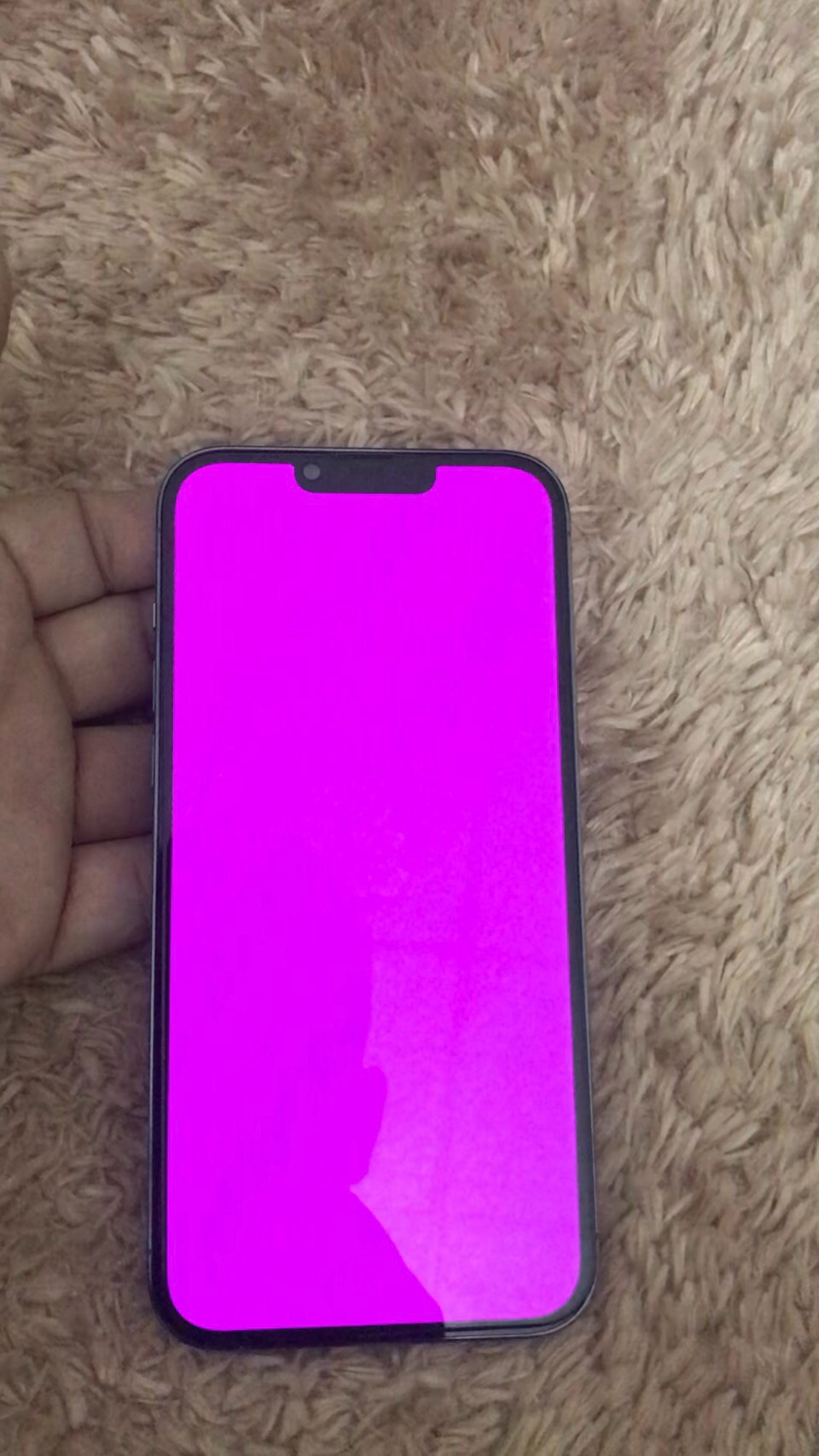 My Iphone 13 pro screen itself turn Pink … Apple Community