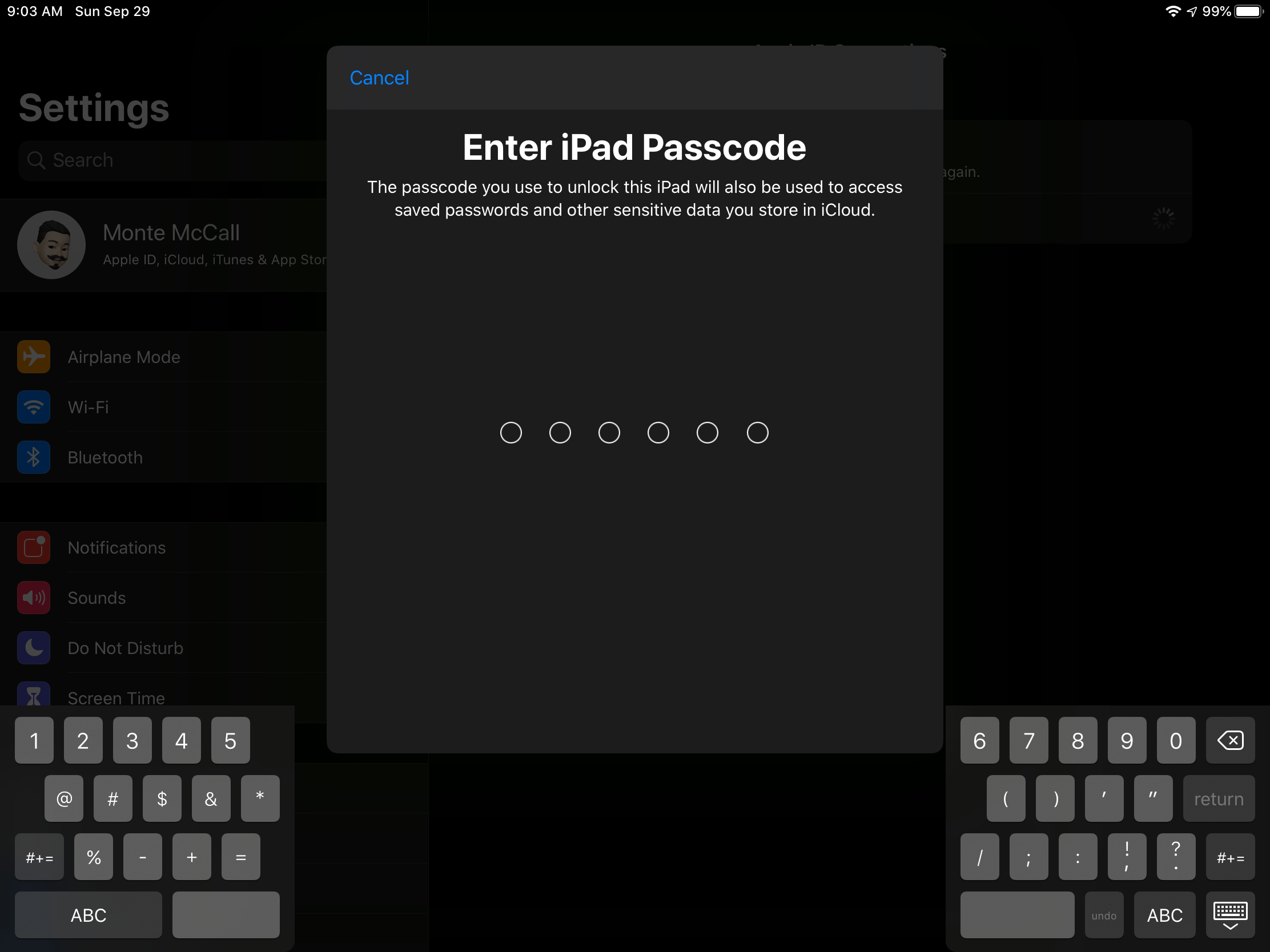 iPadOS 13.1 “Update Apple ID Settings” Apple Community