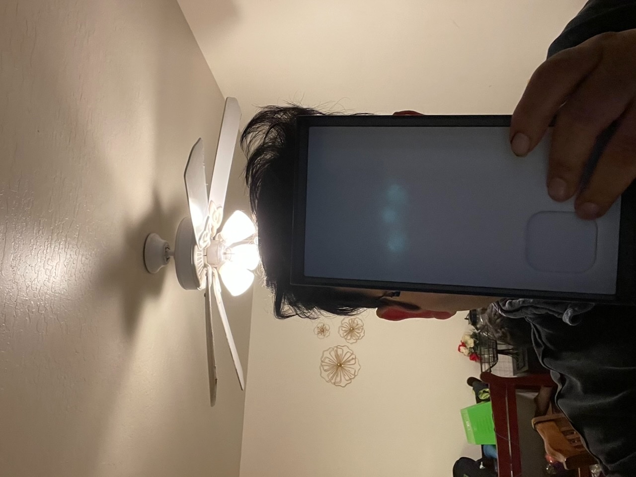 iPhone 12 pro max camera green dots Apple Community