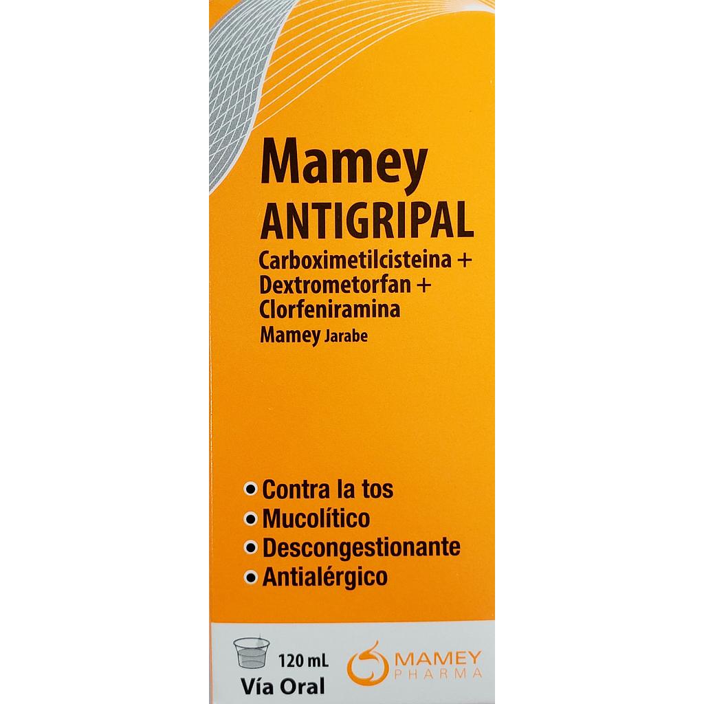 Antigripal Mamey Jbe x 120ml Disfarmell
