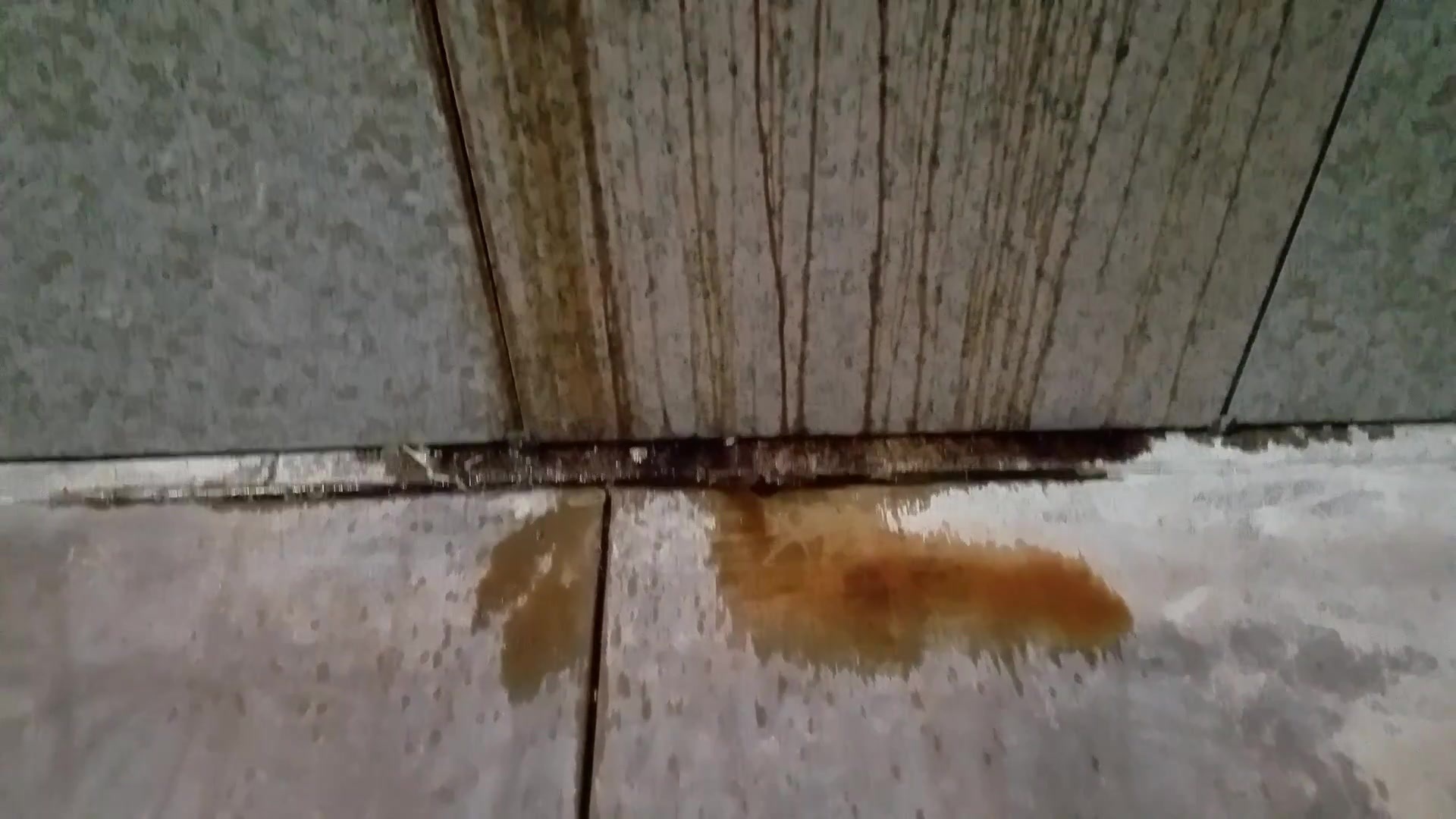 Так себе история взрывающиеся гробы