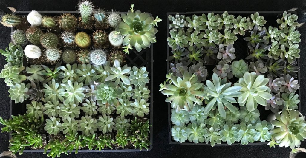 Flowers By You Park City's DoItYourself Floral Arrangement Classes