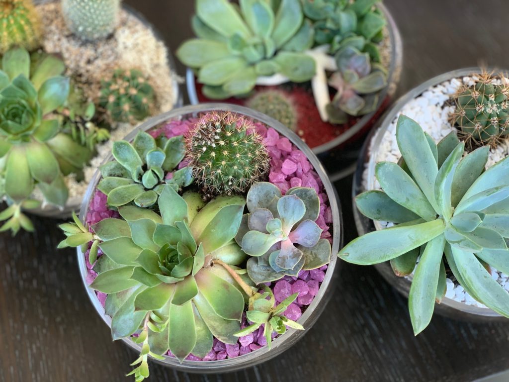 Flowers By You Park City's DoItYourself Floral Arrangement Classes