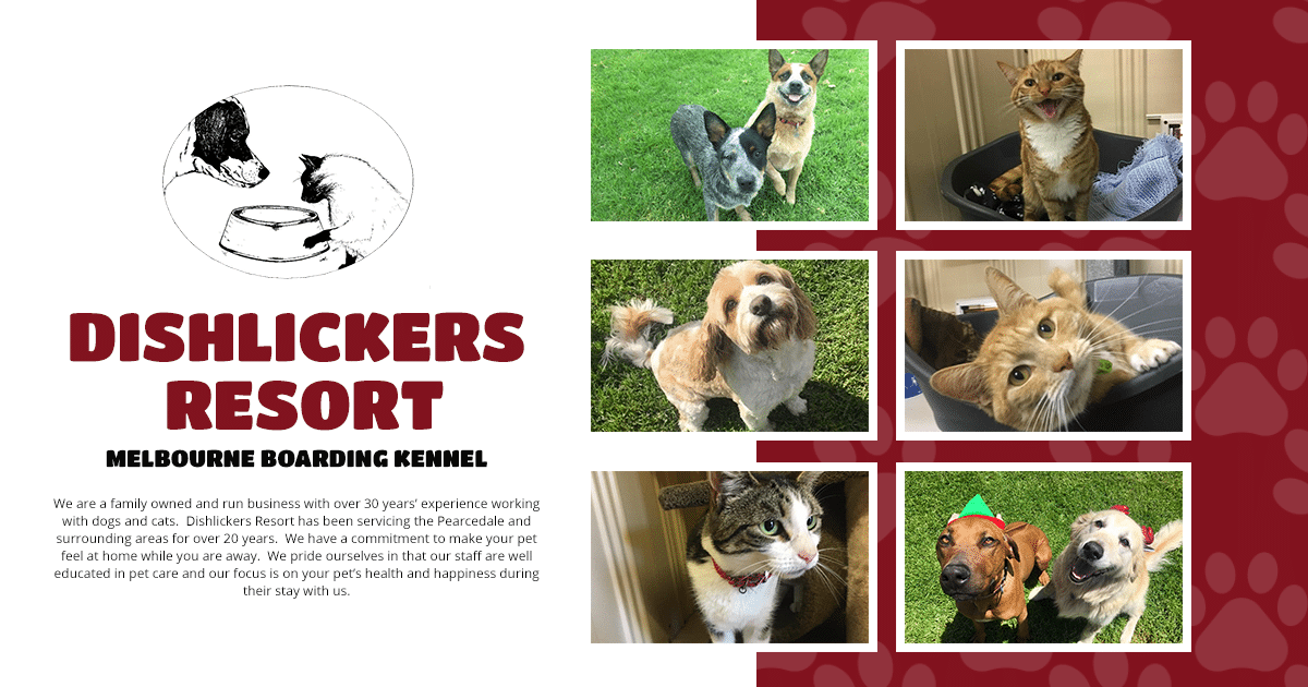 Mornington Peninsula Pet Boarding Kennels Dishlickers Resort