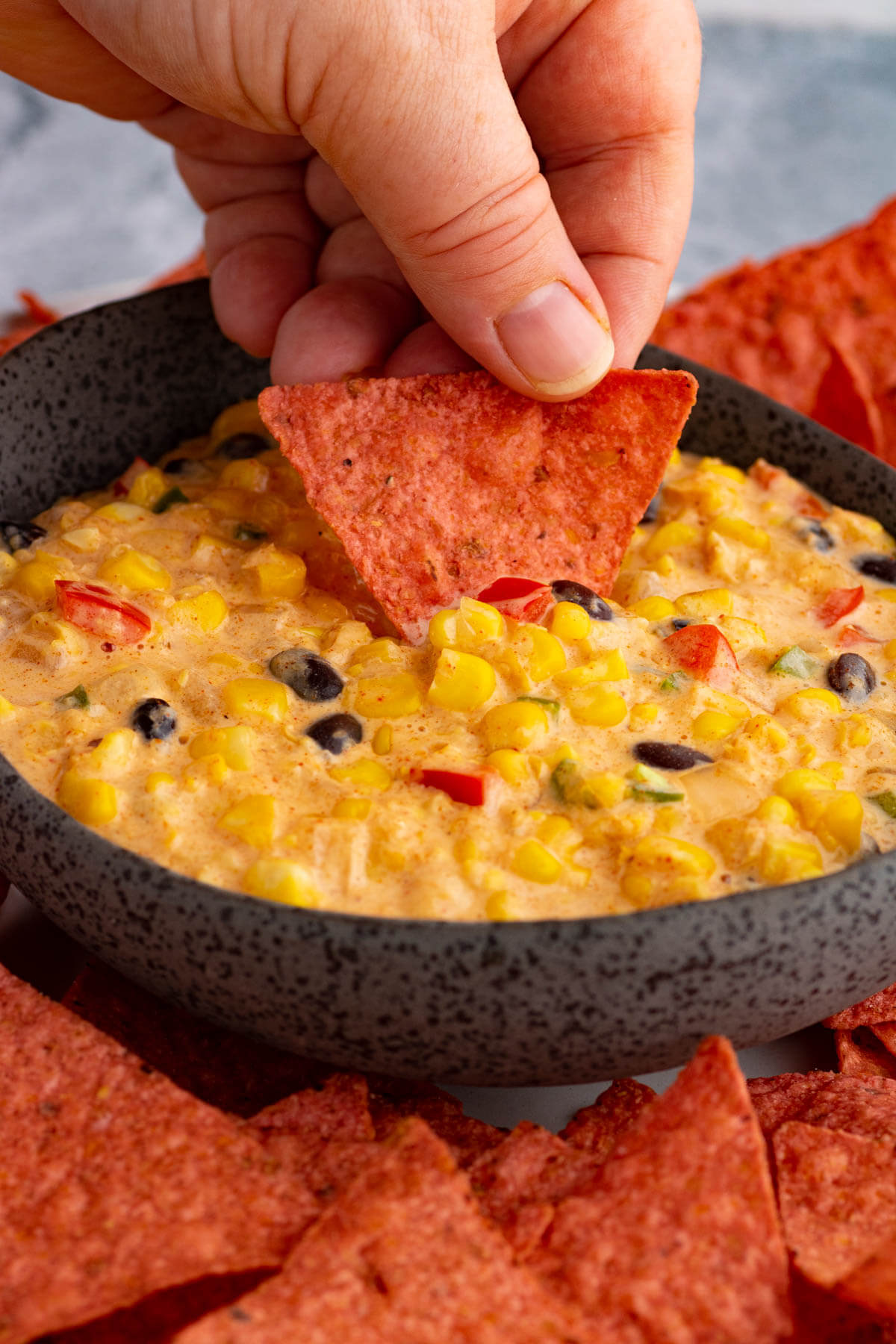 Creamy Tex Mex Corn Dip Dish 'n' the Kitchen