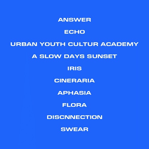 WHEREABOUTS OF THE ECHO/NORTHFIELD/音を多様に用いたアクティブなアプローチ等、迫力の一枚は聞き逃せない