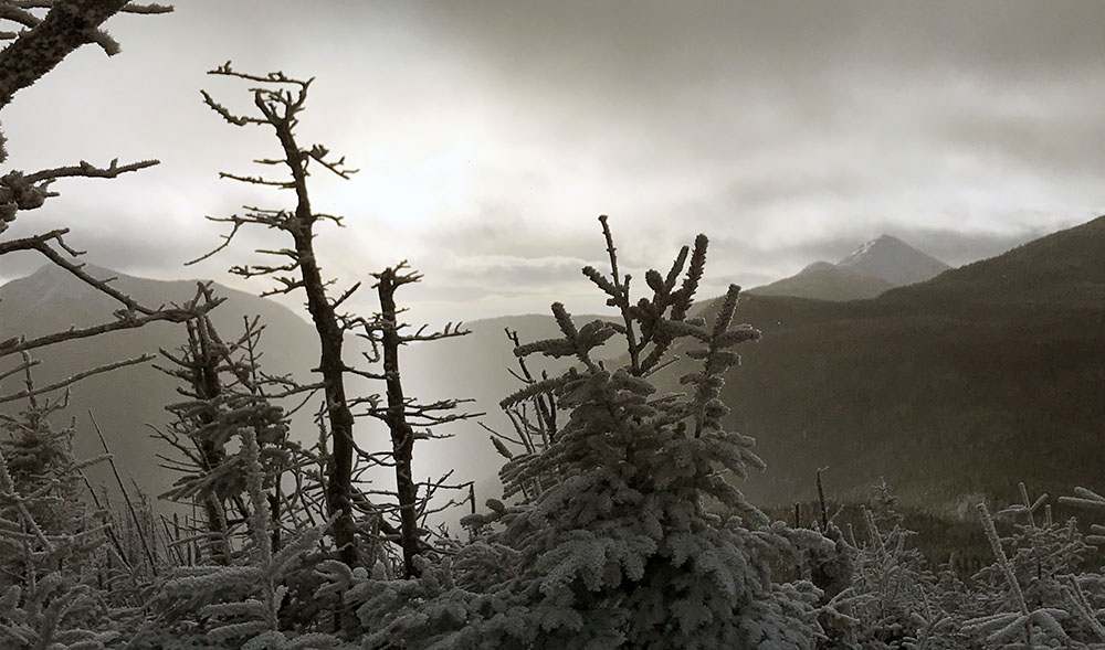 Tabletop Mountain dismal wilderness