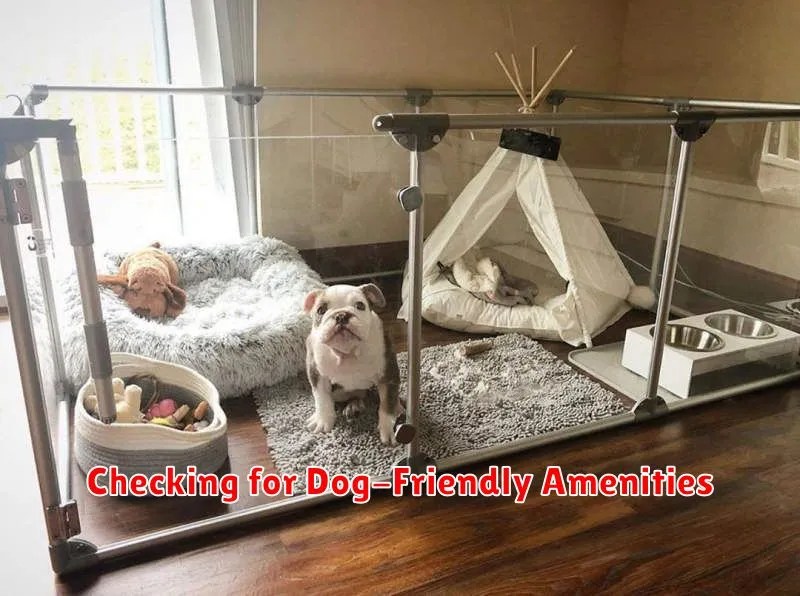 Tips for Renting an Apartment with a Large Dog Rent Smarter