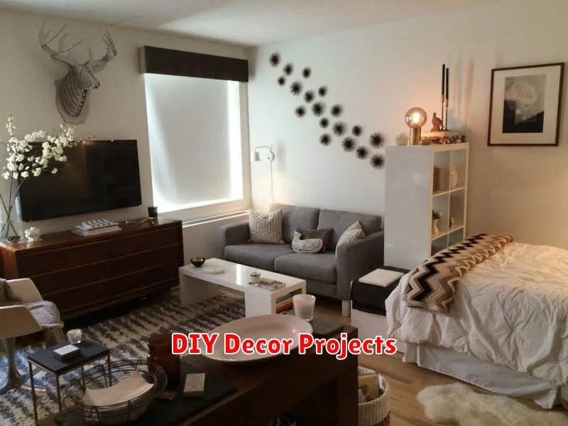 How to Decorate a Rental Apartment Without Damage Rent Smarter