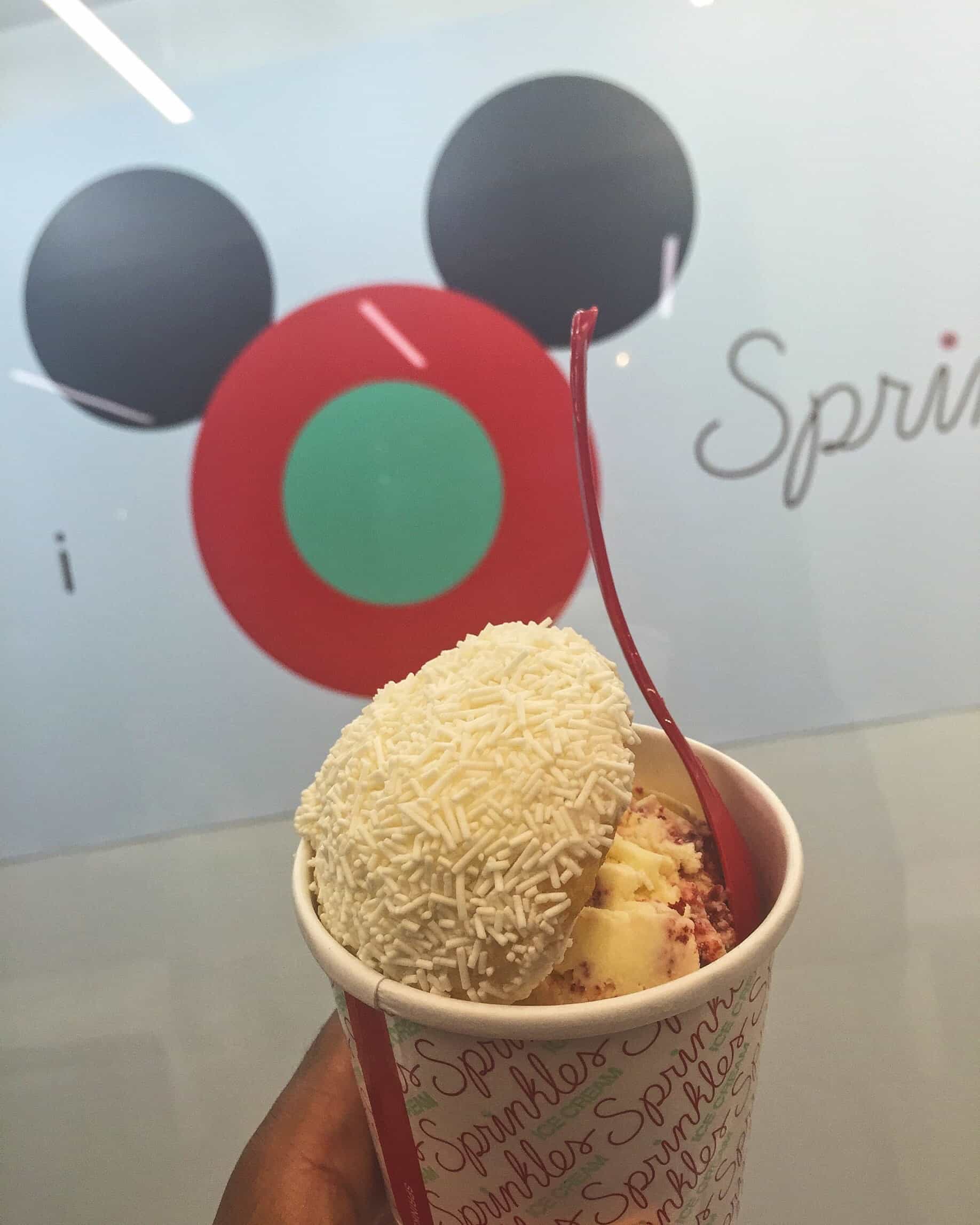 22 Best Ice Cream Treats in Walt Disney World Urban Tastebud Disney