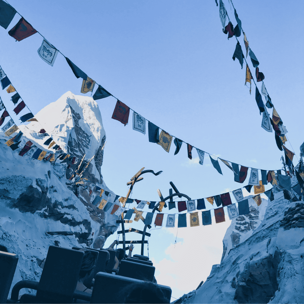 8 Best Rides at Animal Kingdom (All Attractions Ranked for 2024