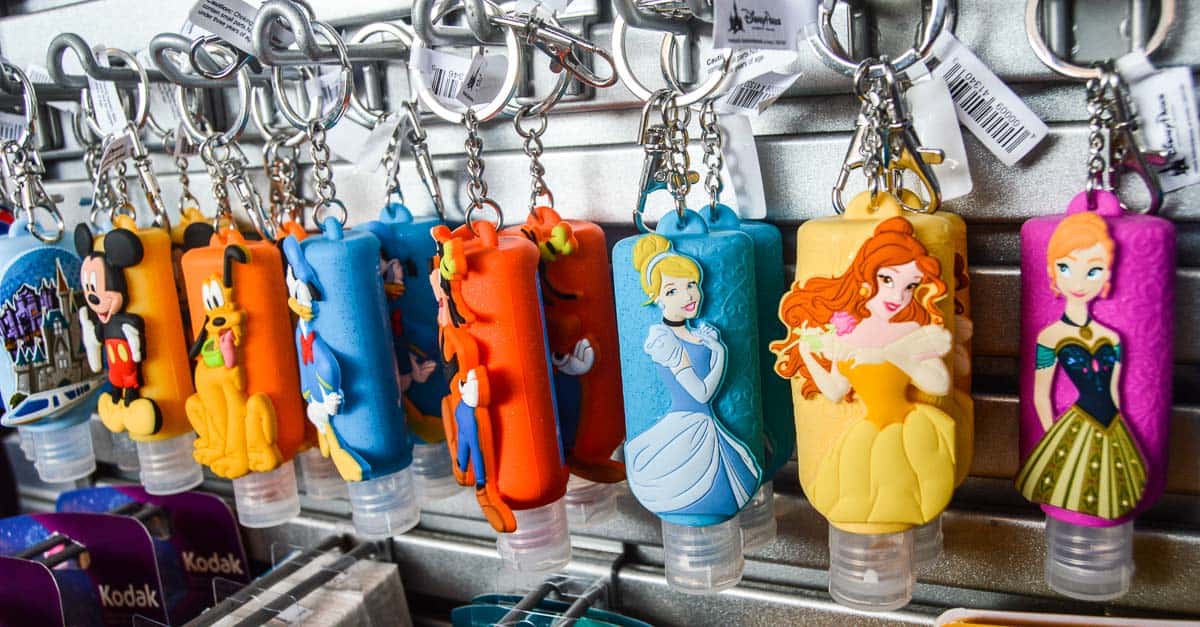 11 Things You'll Want To Take Into The Walt Disney World Parks •