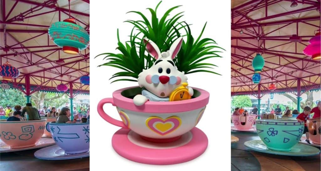 This White Rabbit Tea Cup Succulent Planter Is Too Cute To Pass Up