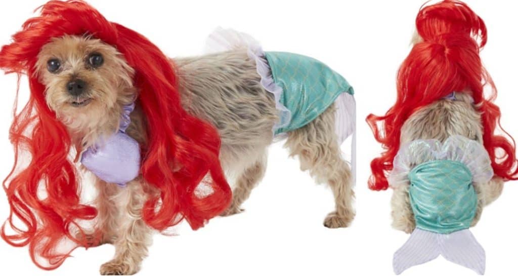We Can't Stop Looking At These Disney Princess Dog Costumes