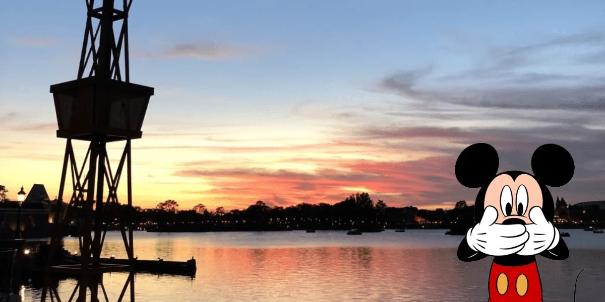 The Secrets Behind the Water of Walt Disney World •