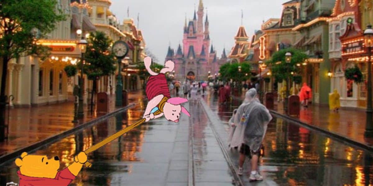 Disney World in a Hurricane How Much Damage Has Actually Happened
