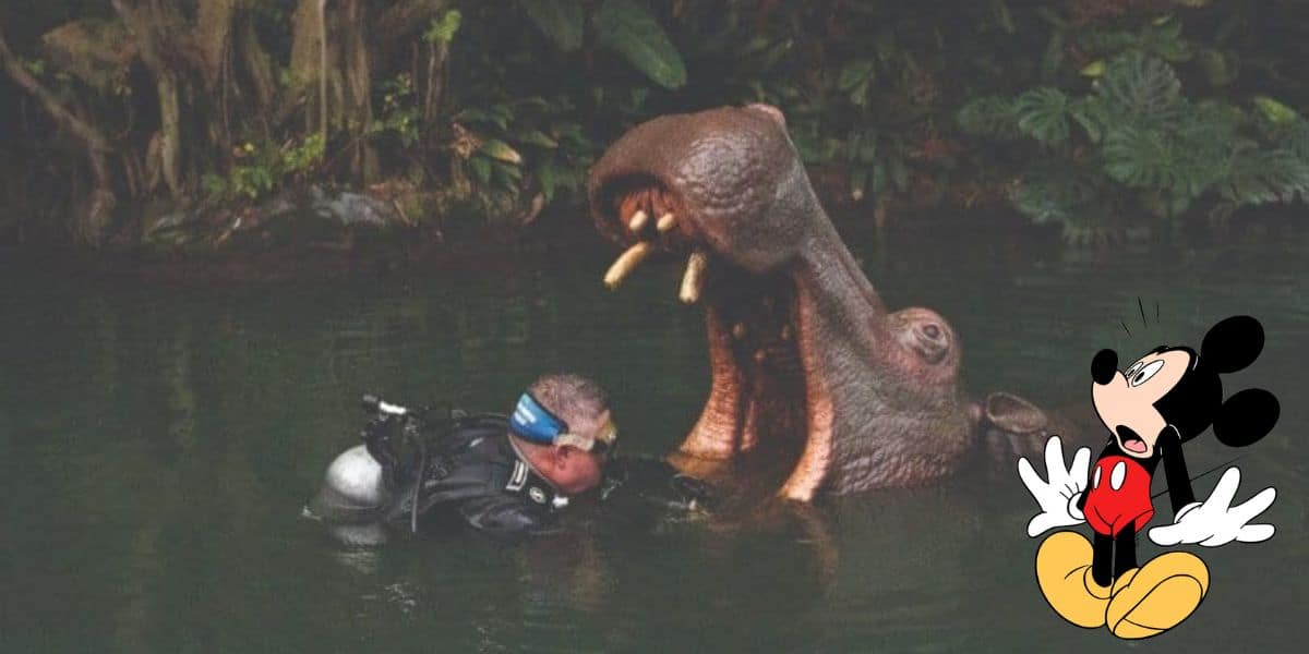 The Weirdest Jobs at Walt Disney World •