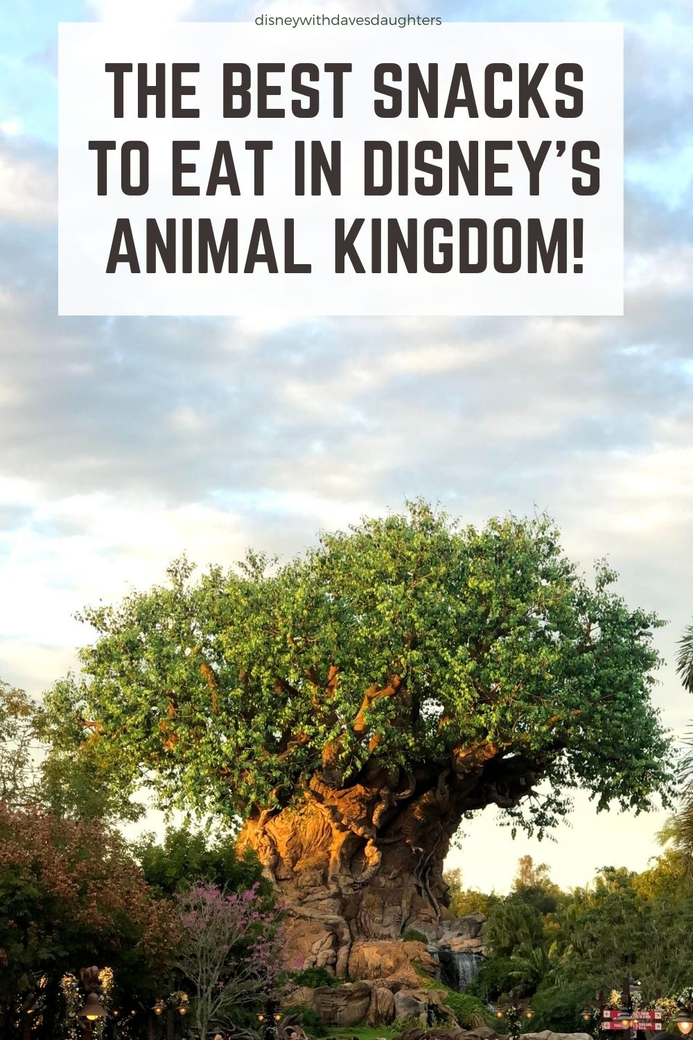 15 Best Animal Kingdom Snacks Disney With Dave's Daughters