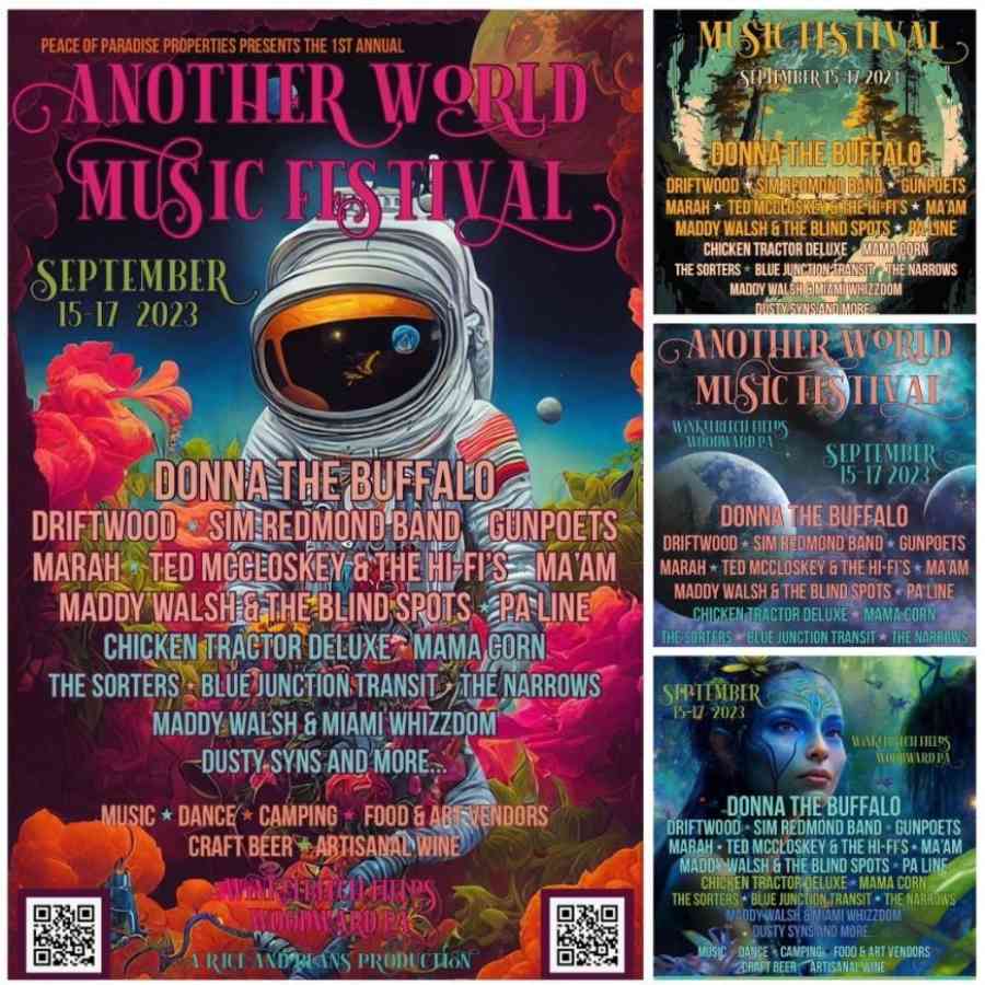 Another World Music Festival The Adventure Bureau Dispatch