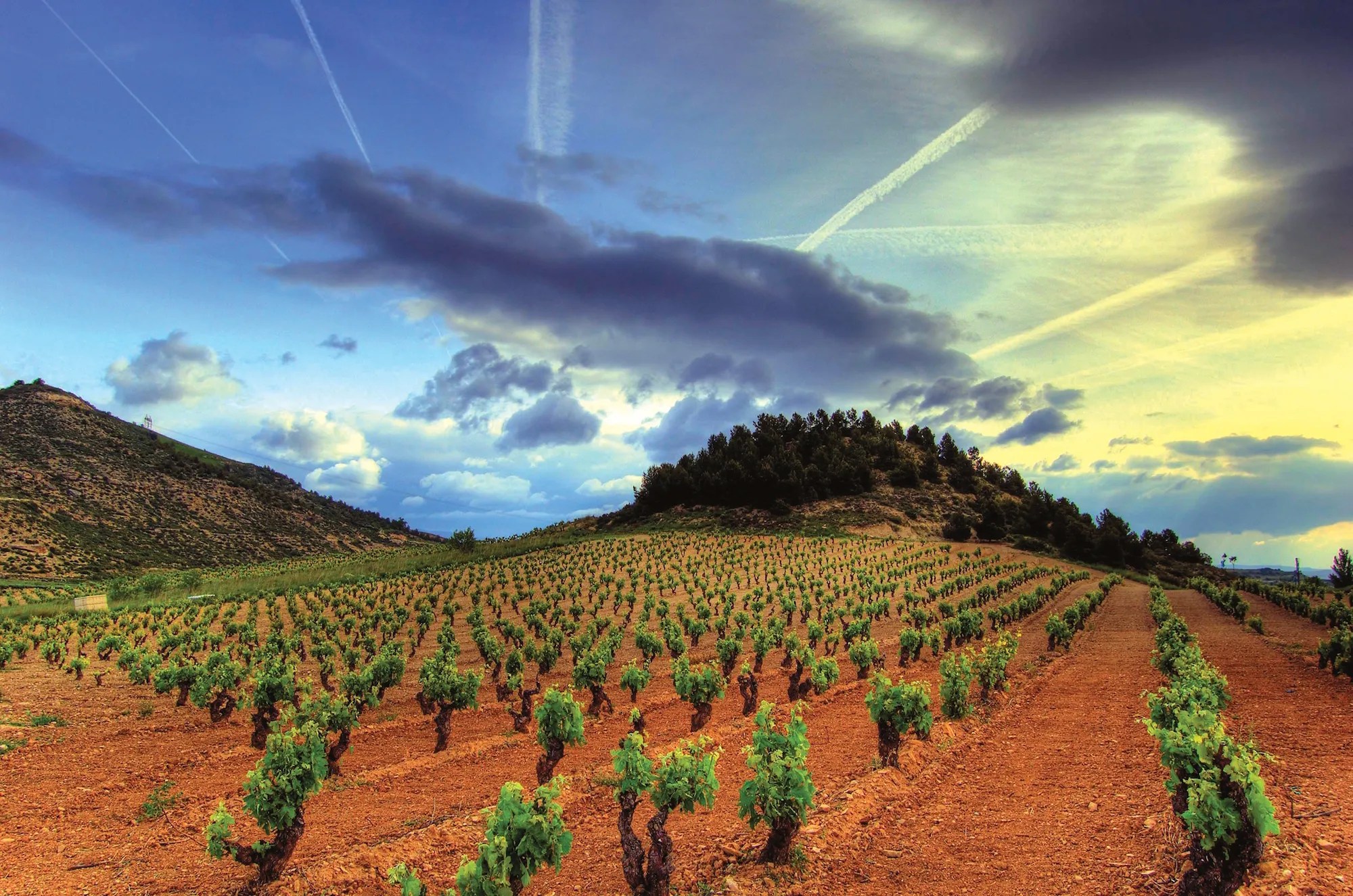 Lindsey McClave in Spain The walls of Laguardia and the wines of Rioja Dispatches Europe